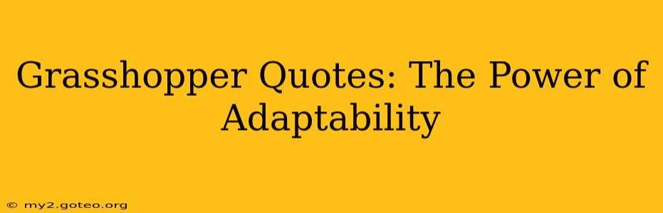 Grasshopper Quotes: The Power of Adaptability