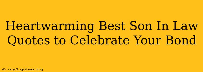 Heartwarming Best Son In Law Quotes to Celebrate Your Bond