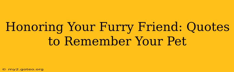 Honoring Your Furry Friend: Quotes to Remember Your Pet