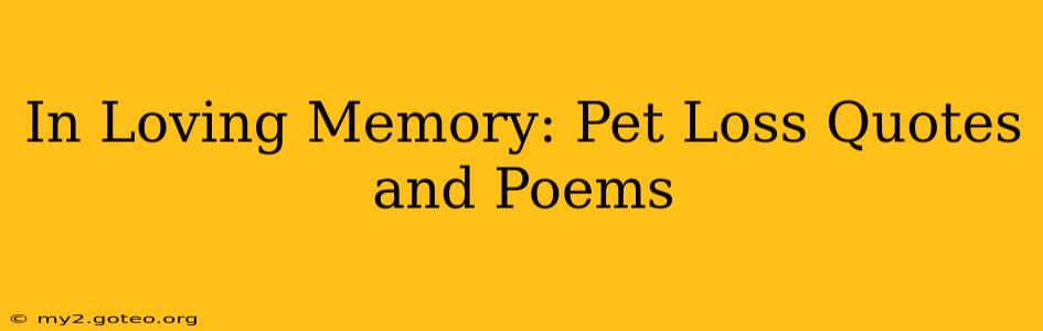In Loving Memory: Pet Loss Quotes and Poems
