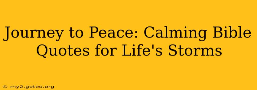 Journey to Peace: Calming Bible Quotes for Life's Storms