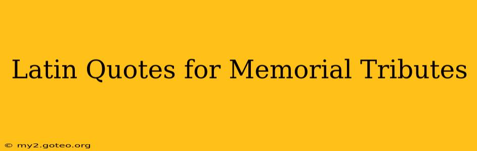 Latin Quotes for Memorial Tributes