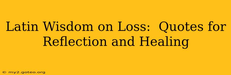 Latin Wisdom on Loss:  Quotes for Reflection and Healing