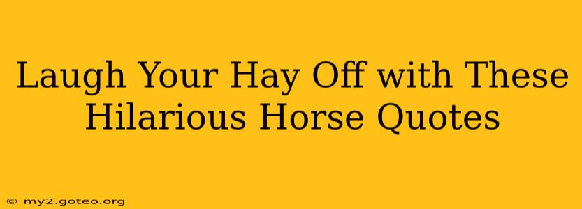 Laugh Your Hay Off with These Hilarious Horse Quotes