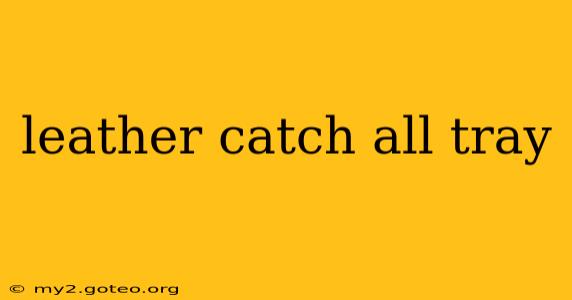 leather catch all tray