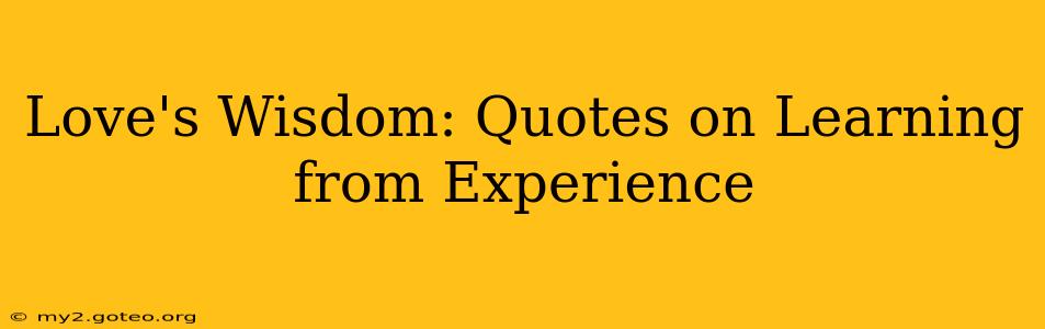 Love's Wisdom: Quotes on Learning from Experience