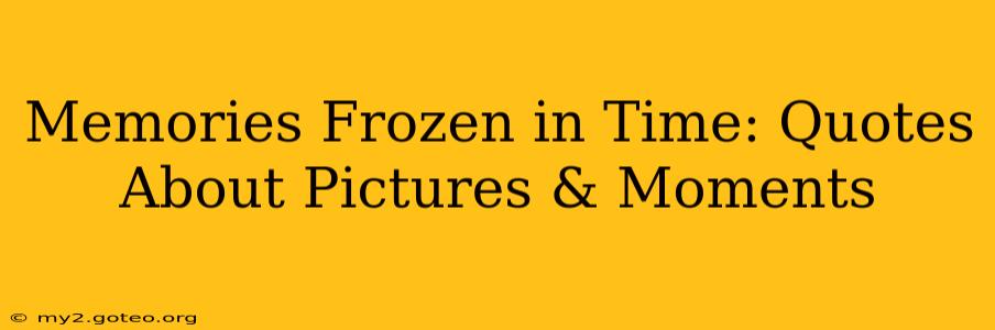 Memories Frozen in Time: Quotes About Pictures & Moments