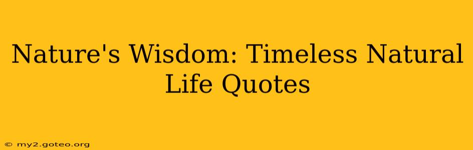 Nature's Wisdom: Timeless Natural Life Quotes