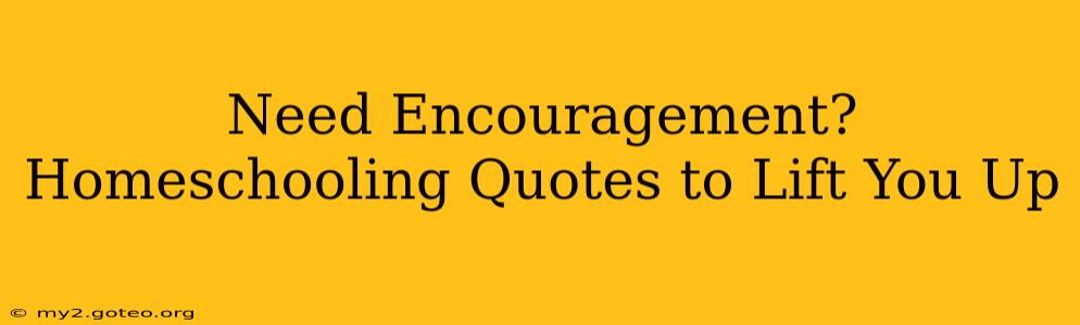 Need Encouragement? Homeschooling Quotes to Lift You Up