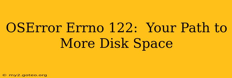 OSError Errno 122:  Your Path to More Disk Space