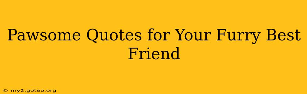 Pawsome Quotes for Your Furry Best Friend