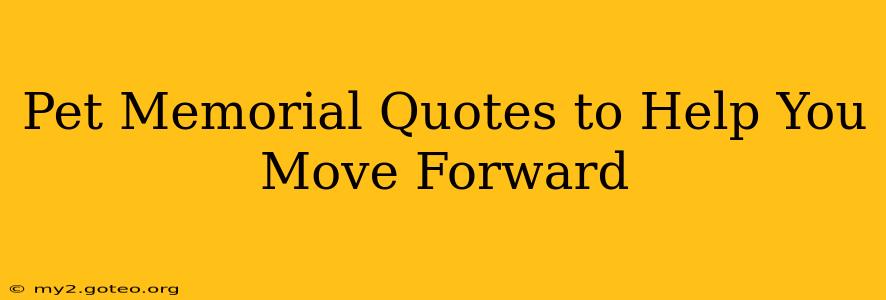 Pet Memorial Quotes to Help You Move Forward