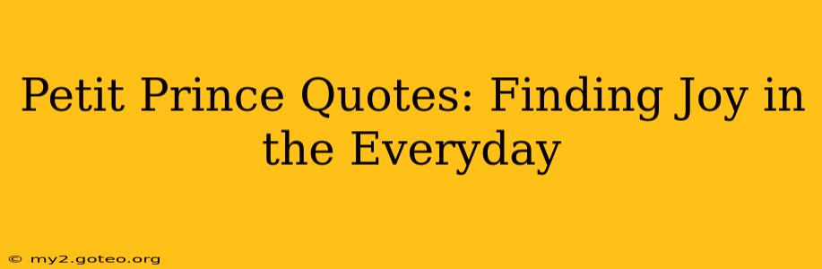 Petit Prince Quotes: Finding Joy in the Everyday