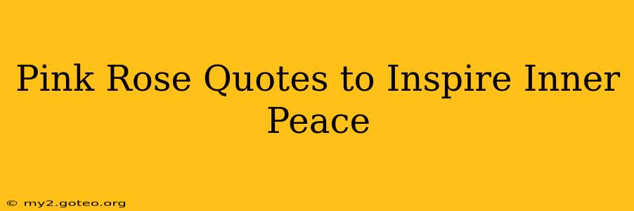 Pink Rose Quotes to Inspire Inner Peace
