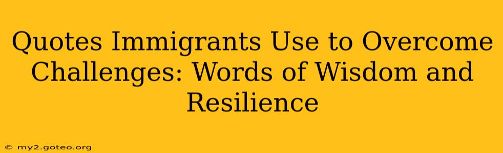 Quotes Immigrants Use to Overcome Challenges: Words of Wisdom and Resilience