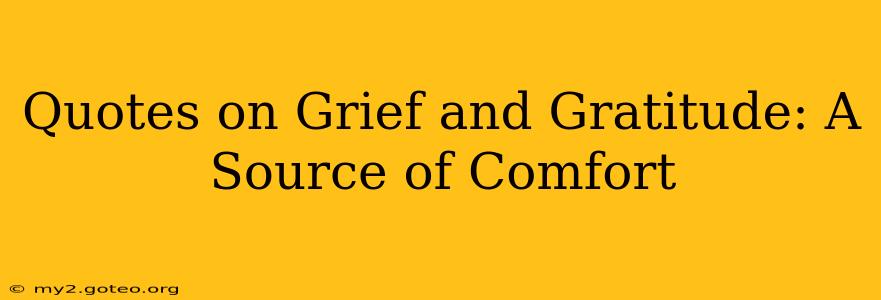 Quotes on Grief and Gratitude: A Source of Comfort