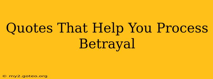 Quotes That Help You Process Betrayal