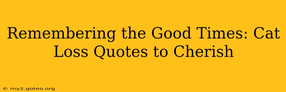 Remembering the Good Times: Cat Loss Quotes to Cherish