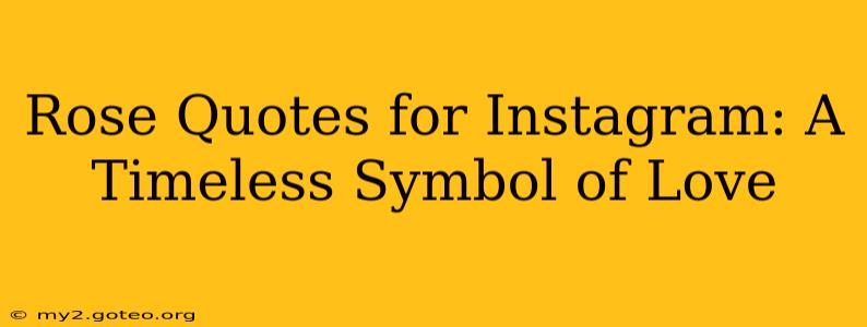 Rose Quotes for Instagram: A Timeless Symbol of Love