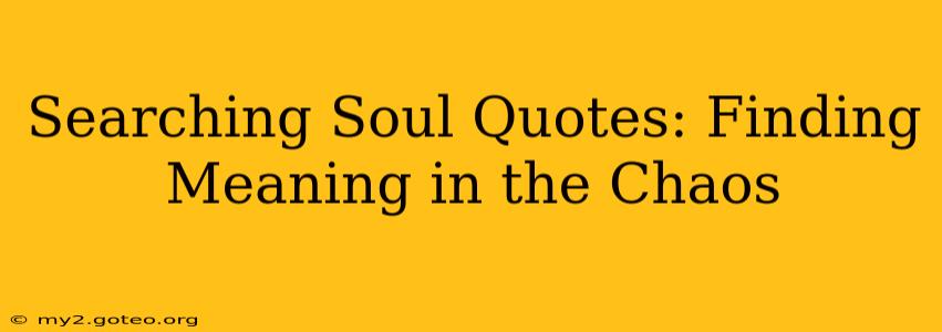 Searching Soul Quotes: Finding Meaning in the Chaos