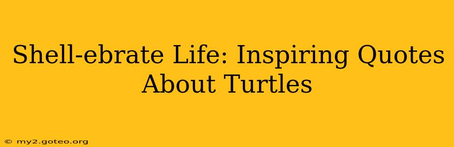 Shell-ebrate Life: Inspiring Quotes About Turtles