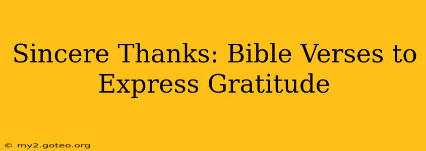Sincere Thanks: Bible Verses to Express Gratitude