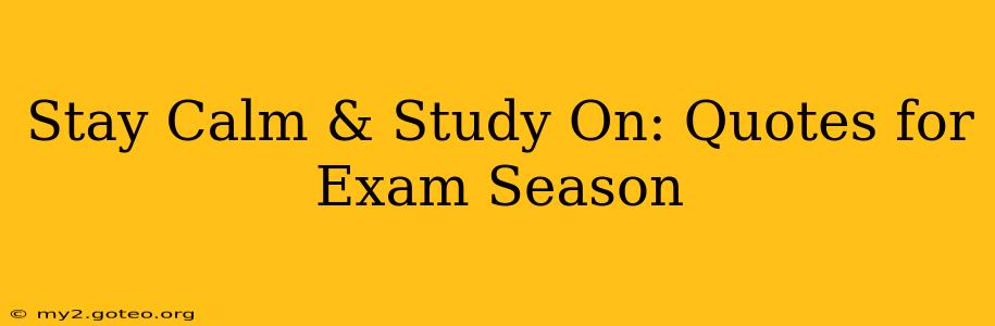 Stay Calm & Study On: Quotes for Exam Season