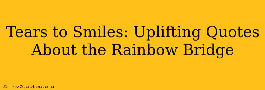 Tears to Smiles: Uplifting Quotes About the Rainbow Bridge