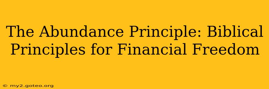 The Abundance Principle: Biblical Principles for Financial Freedom