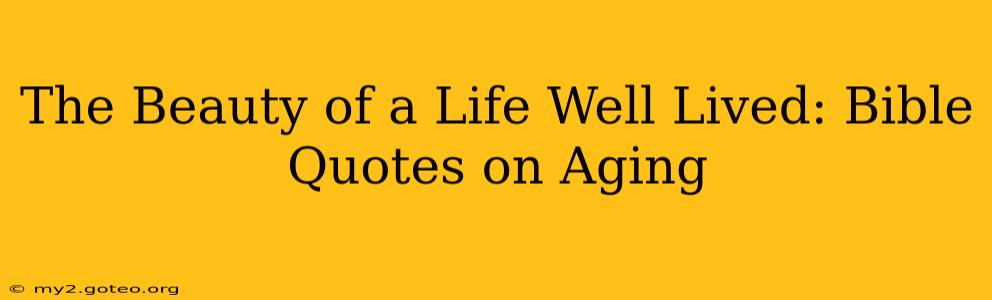 The Beauty of a Life Well Lived: Bible Quotes on Aging