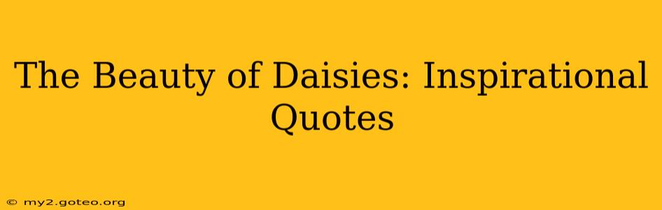 The Beauty of Daisies: Inspirational Quotes