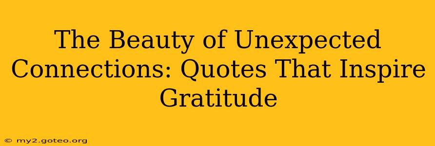 The Beauty of Unexpected Connections: Quotes That Inspire Gratitude