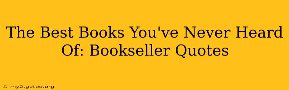 The Best Books You've Never Heard Of: Bookseller Quotes