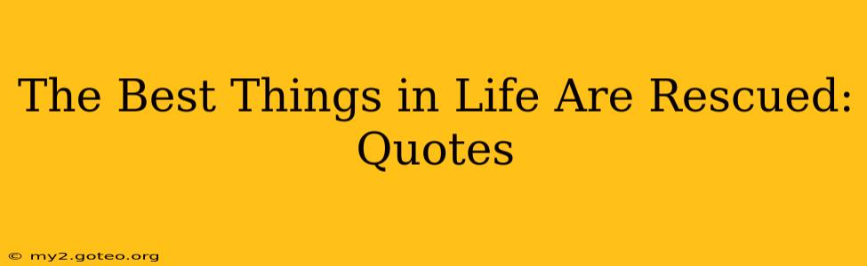 The Best Things in Life Are Rescued: Quotes