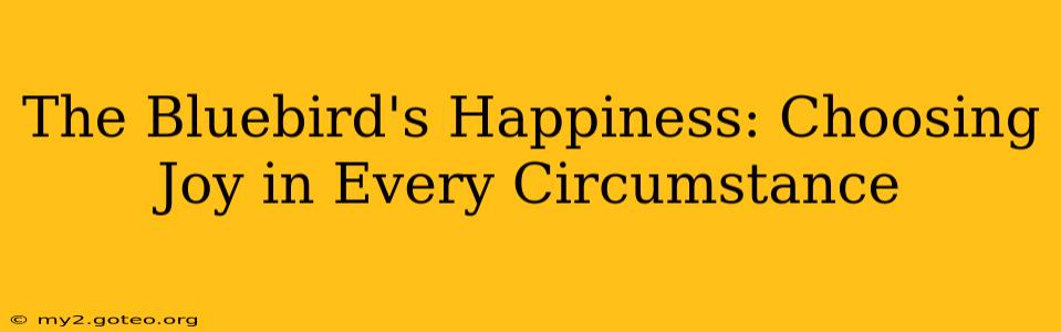The Bluebird's Happiness: Choosing Joy in Every Circumstance