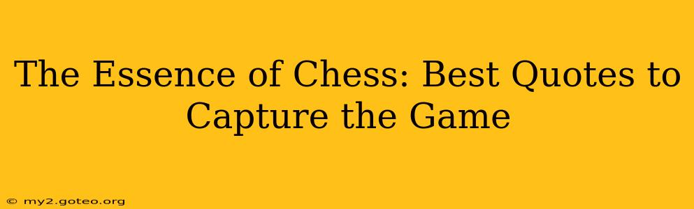 The Essence of Chess: Best Quotes to Capture the Game