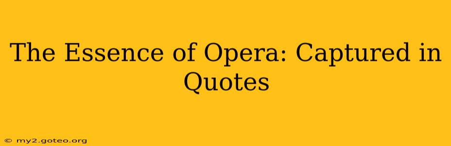The Essence of Opera: Captured in Quotes