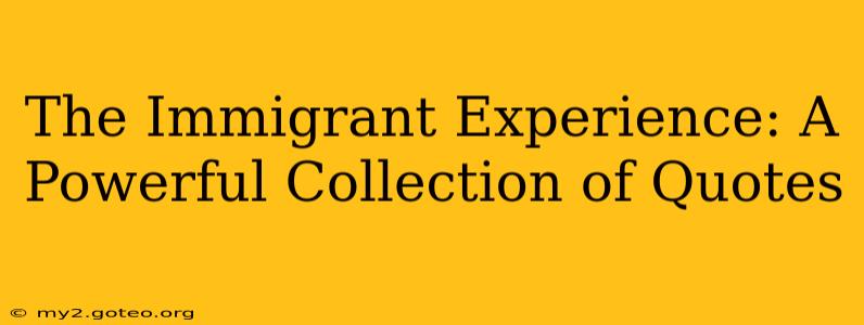 The Immigrant Experience: A Powerful Collection of Quotes