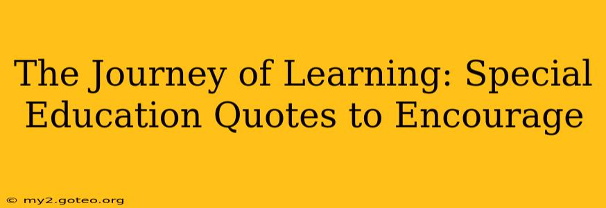The Journey of Learning: Special Education Quotes to Encourage