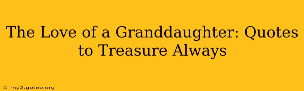 The Love of a Granddaughter: Quotes to Treasure Always