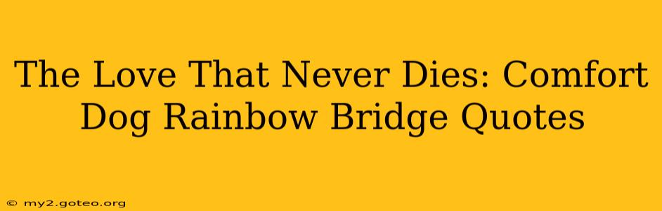 The Love That Never Dies: Comfort Dog Rainbow Bridge Quotes