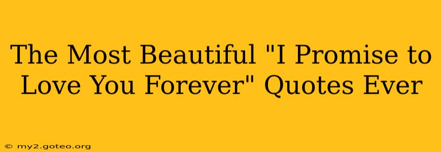 The Most Beautiful "I Promise to Love You Forever" Quotes Ever
