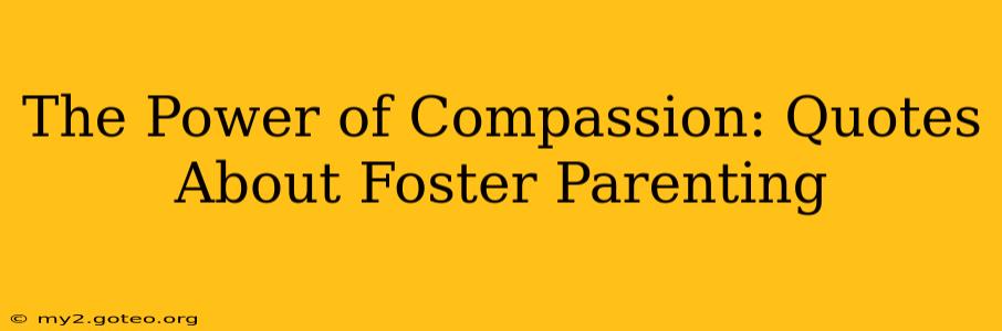 The Power of Compassion: Quotes About Foster Parenting