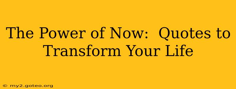 The Power of Now:  Quotes to Transform Your Life