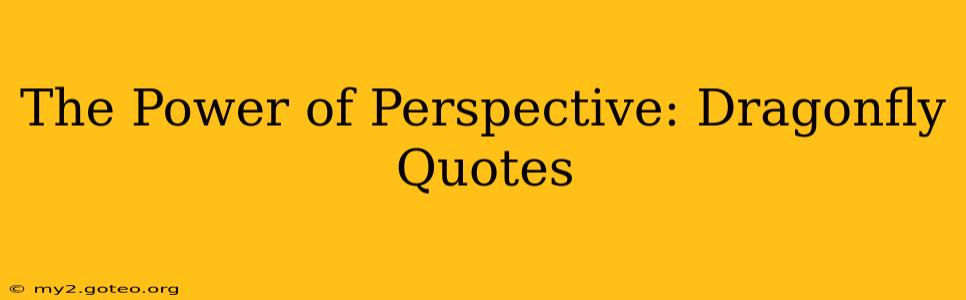 The Power of Perspective: Dragonfly Quotes