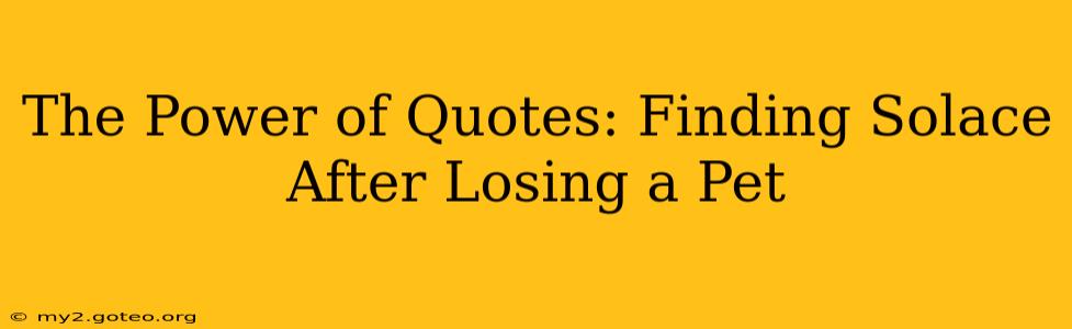 The Power of Quotes: Finding Solace After Losing a Pet