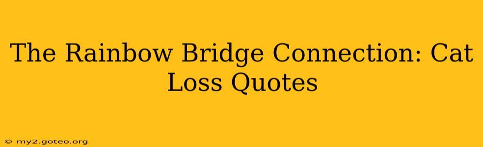 The Rainbow Bridge Connection: Cat Loss Quotes