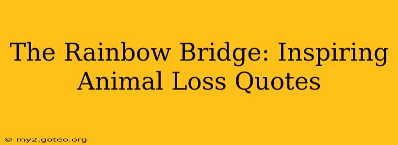 The Rainbow Bridge: Inspiring Animal Loss Quotes