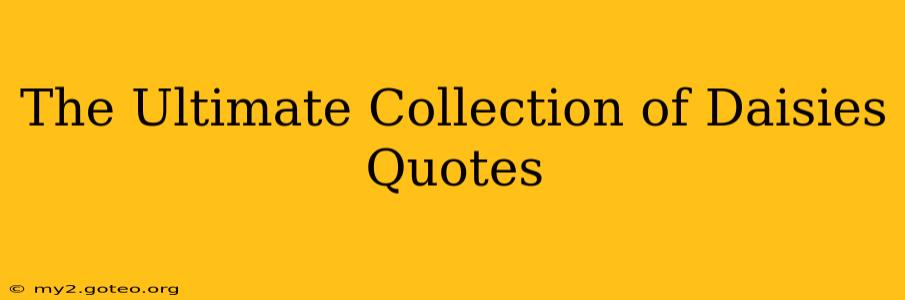 The Ultimate Collection of Daisies Quotes