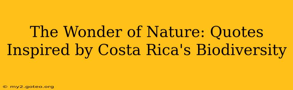 The Wonder of Nature: Quotes Inspired by Costa Rica's Biodiversity